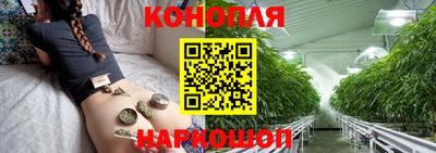 стафф Ставрополь